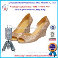 Promotion Cheap Pvc Jelly Slipper mould Woman Sexy High Heels, High Quality Shoes mold Woman Sexy High Heels,PCU shoe die